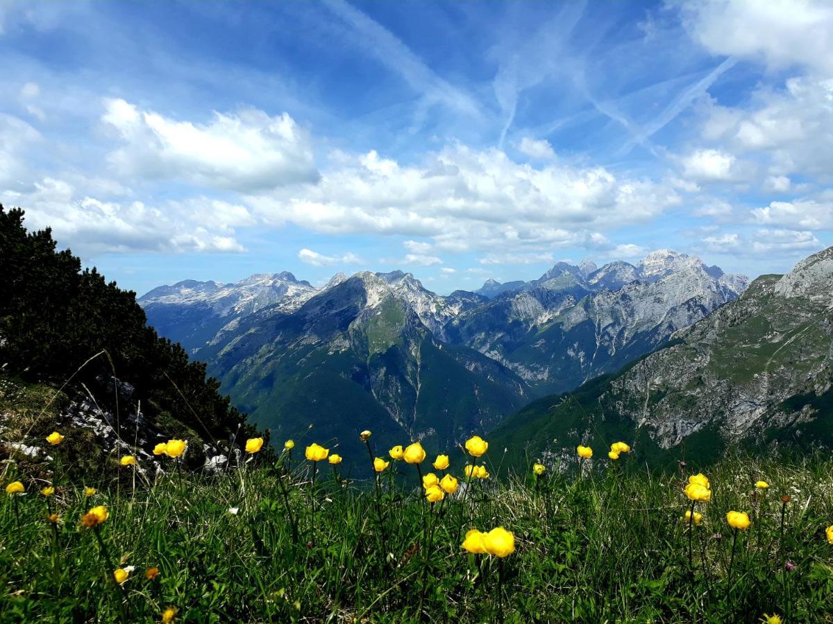 Socaland Apartmaji Dış mekan fotoğraf